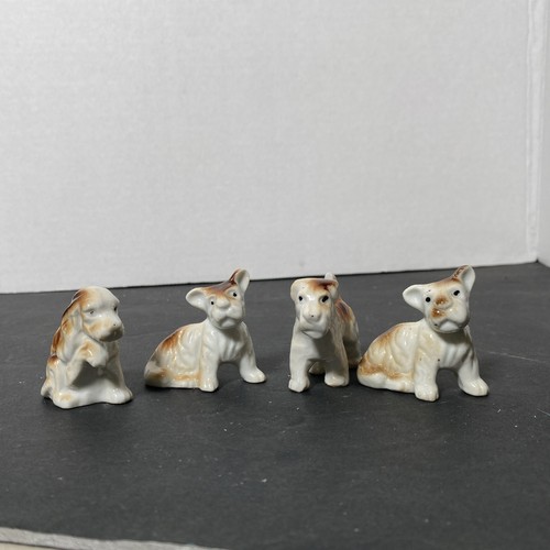 Set dogs - set, of