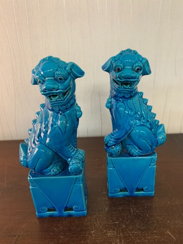 Pair dogs fo - dogs,